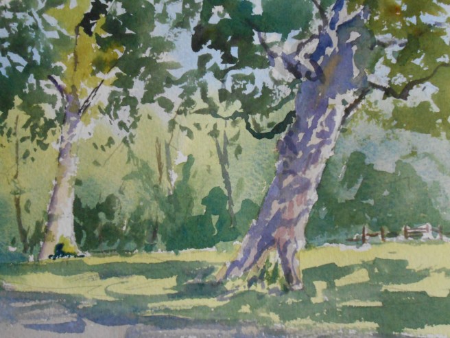 07-07 Saturday shadows