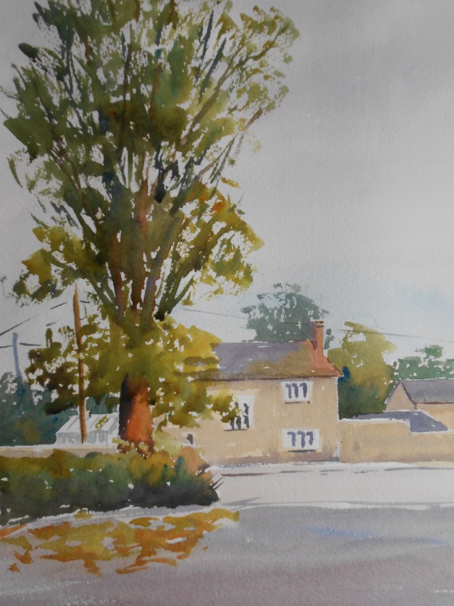 10-08 The sentry tree