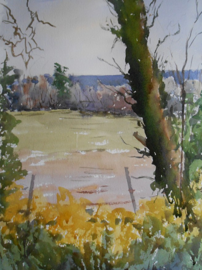 12-03 At the edge of the field