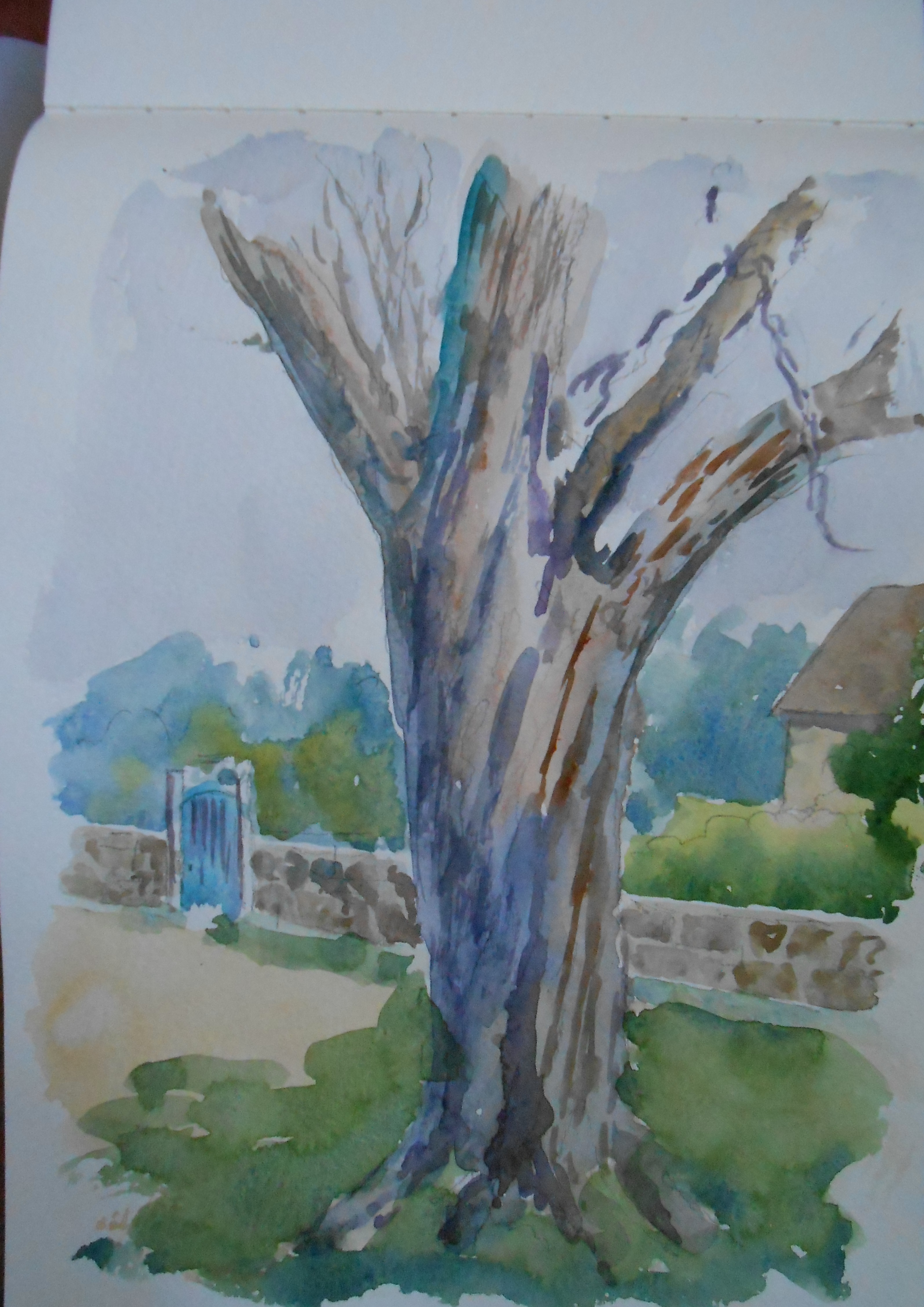 jan sketchbook tree