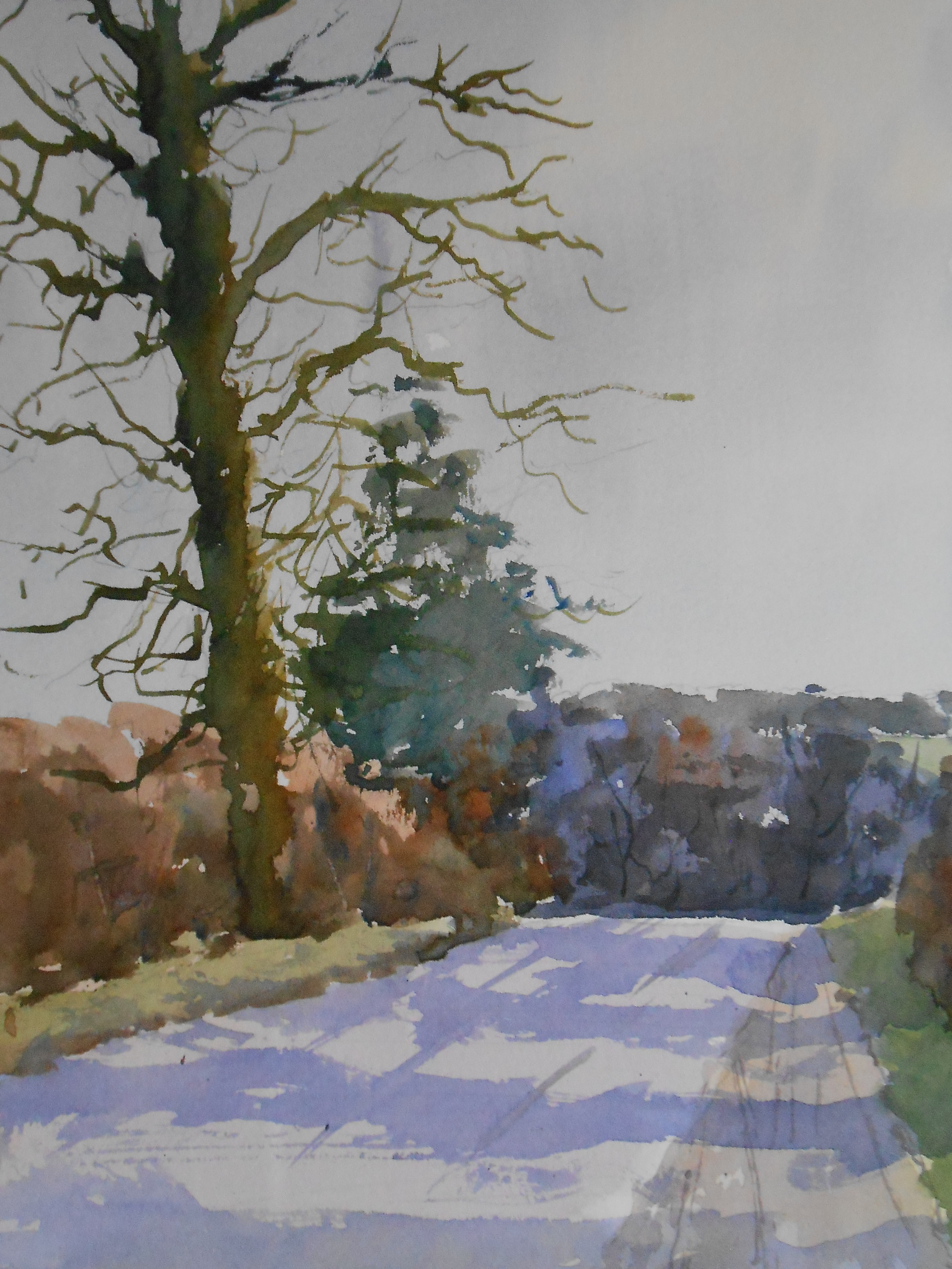 02-08 Lane in February