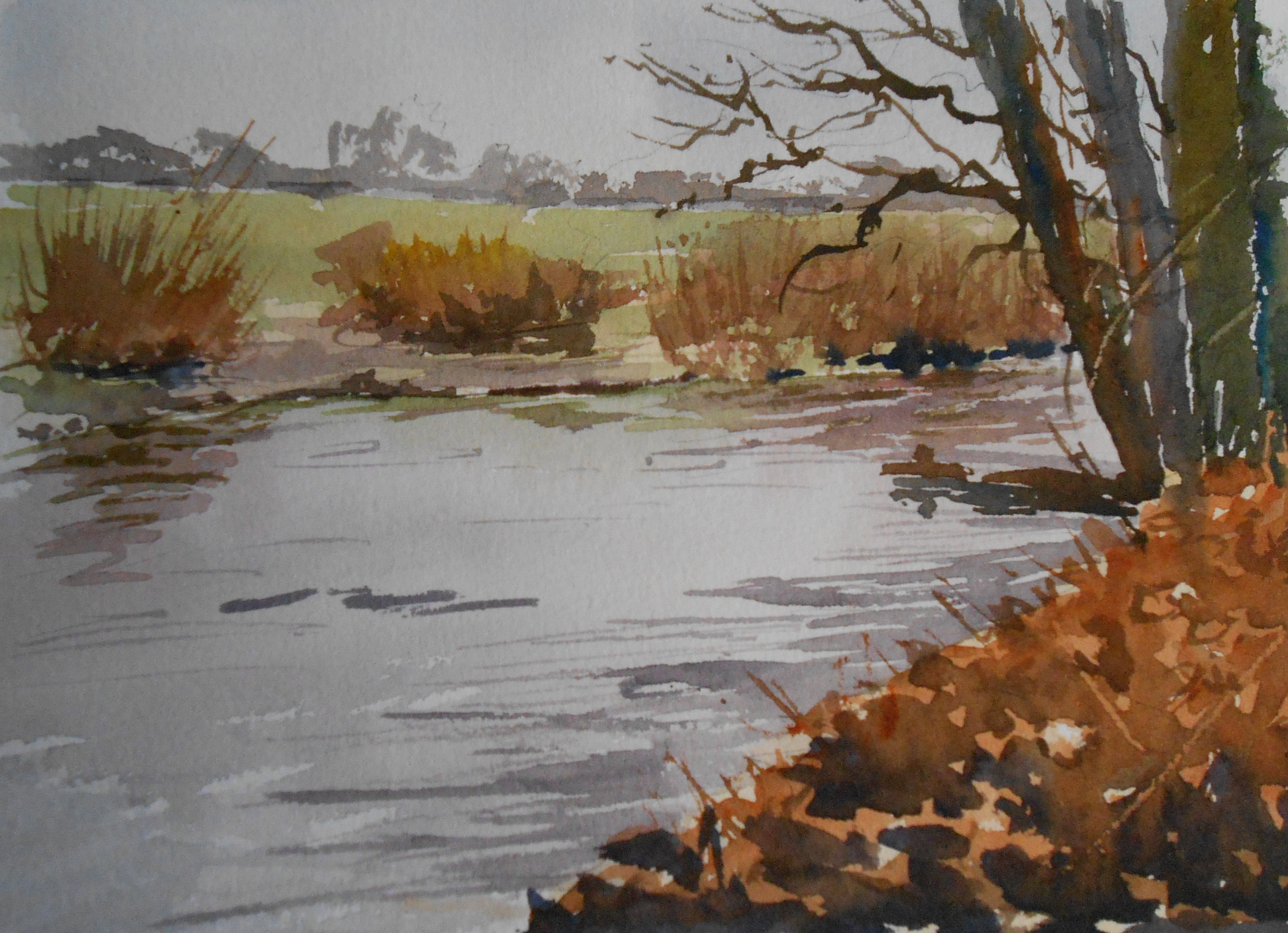 02-22 By the water's edge