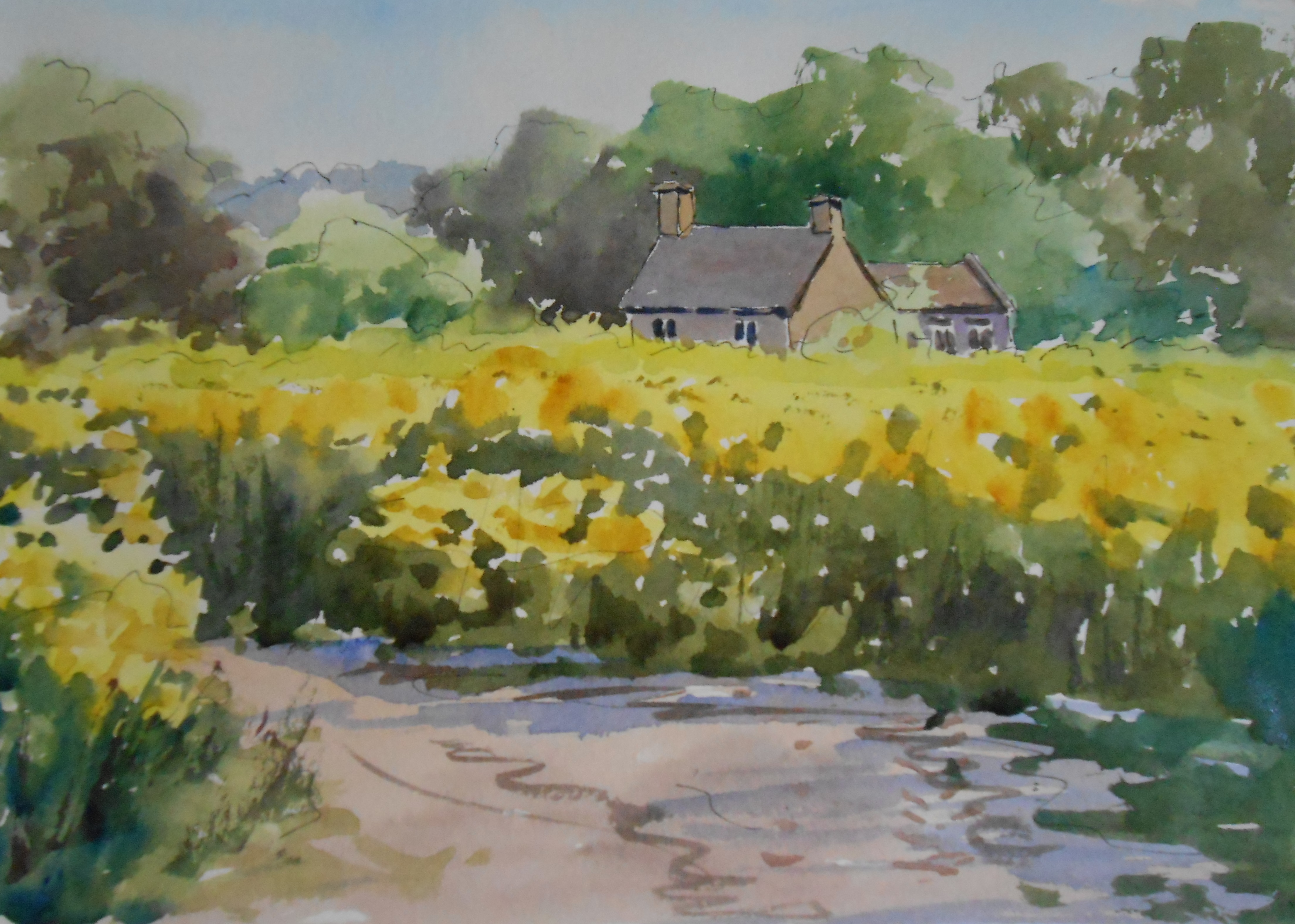 04-30 Sign of Spring