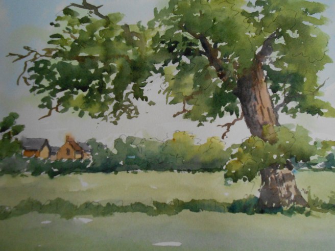 06-03 Tree at Little Rissington