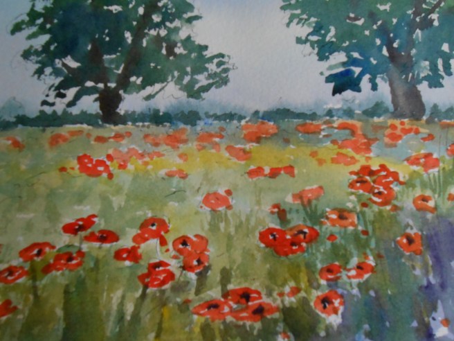 Poppies by the Burford Road