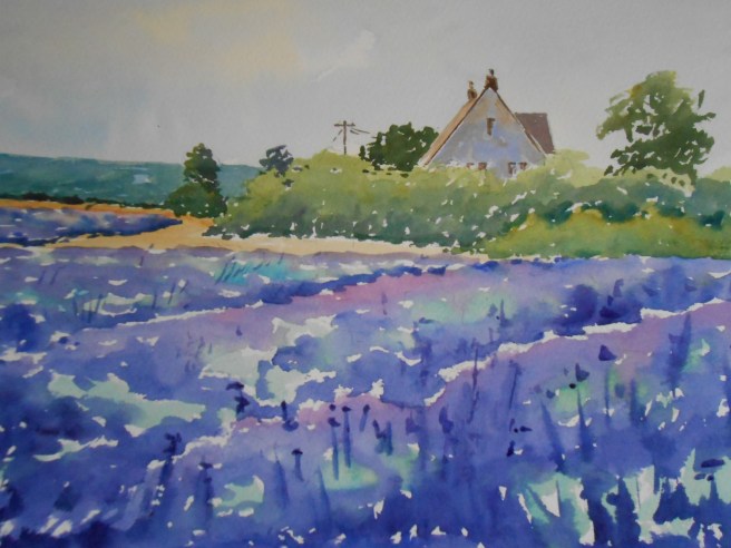 07-22 Summer Lavender