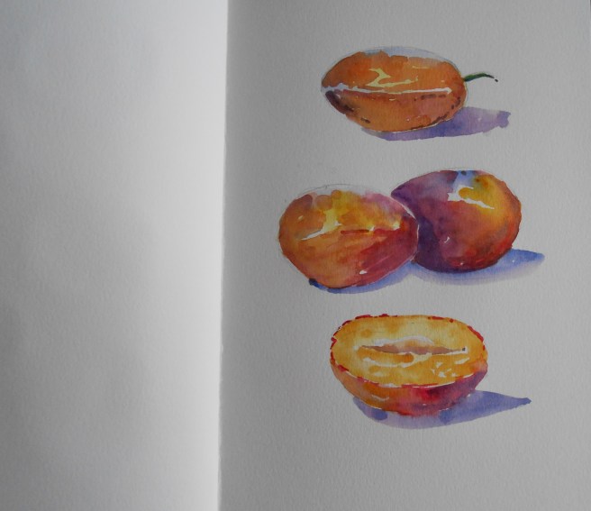 08-28 Plums from Ron