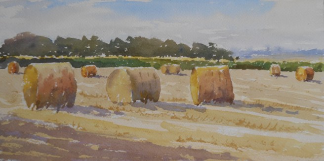 08-29 August Bales
