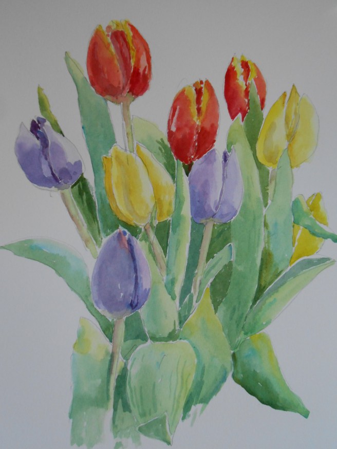 01-29 Supermarket tuliips