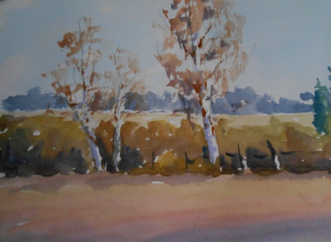 02-11 February sunshine