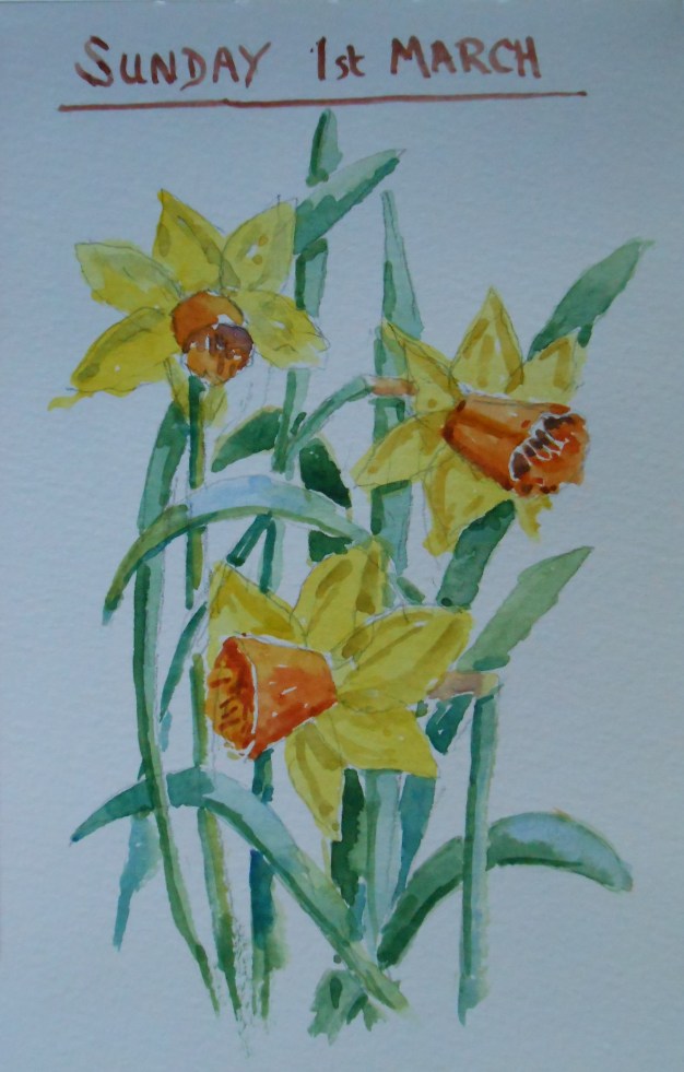 03-01 Daffodils from the garden