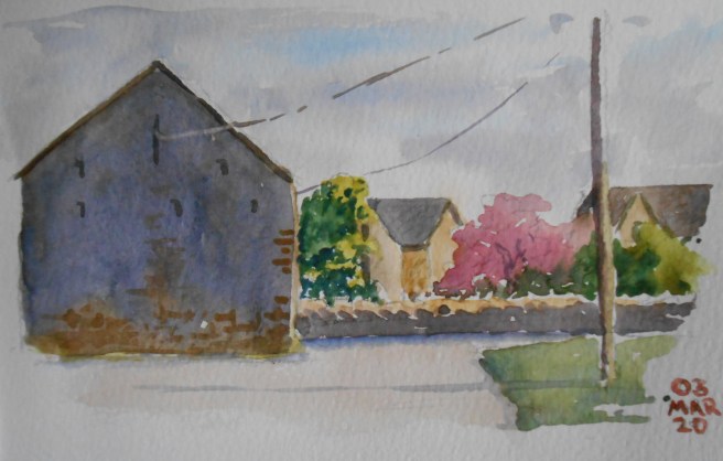 03-03 Building at Greystones