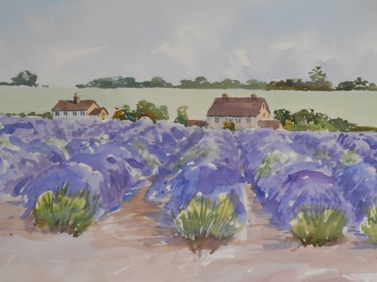 07-22 Snowshill Lavender